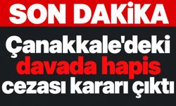 Çanakkale'deki davada hapis cezası kararı çıktı (Video)