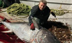 Saros Körfezi’nde 175 kiloluk orkinos yakaladı