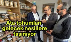 Ata tohumları gelecek nesillere taşınıyor