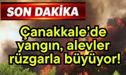 Çanakkale’de yangın, alevler rüzgarla büyüyor! (Video)