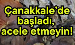 Çanakkale’de başladı, acele etmeyin!