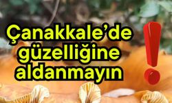 Çanakkale’de güzelliğine aldanmayın!
