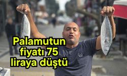 Palamutun fiyatı 75 liraya düştü