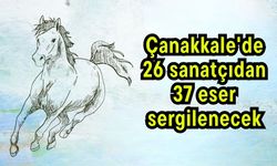 Çanakkale'de 26 sanatçıdan 37 eser sergilenecek