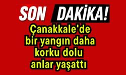 Çanakkale'de bir yangın daha korku dolu anlar yaşattı (Video)