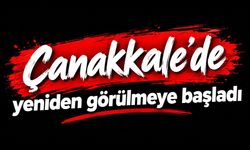 Çanakkale'de yeniden görülmeye başladı