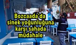 Bozcaada’da sinek yoğunluğuna karşı sahada müdahale