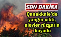 Çanakkale’de yangın çıktı, alevler rüzgarla büyüdü