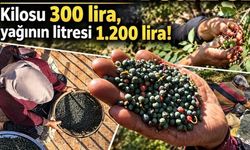 Kilosu 300, yağı 1200 lira (Video)