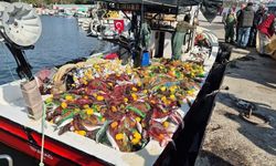 Marmara'da kefal bereketi, 1,5 ton kefalle döndüler (Video)