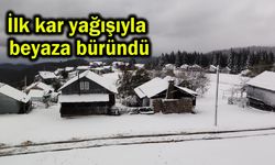 İlk kar yağışıyla beyaza büründü (Video)