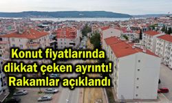 Konut fiyatlarında dikkat çeken ayrıntı!