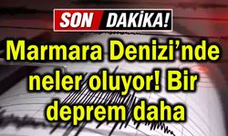 Marmara Denizi'nde neler oluyor! Bir deprem daha