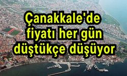 Çanakkale'de fiyatı her gün düştükçe düşüyor