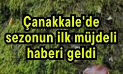 Çanakkale'de sezonun ilk müjdeli haberi geldi