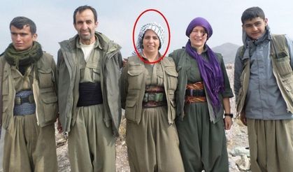 MİT’ten Suriye/Kamışlı’da nokta operasyon
