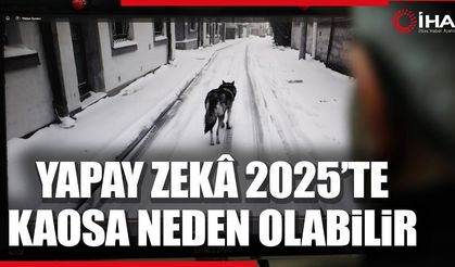 Yapay zekâ teknolojisi 2025’te kaosa neden olabilecek (VİDEO)