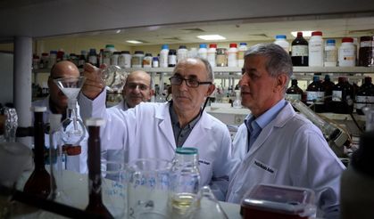 Çiftçinin korkulu rüyası kahverengi kokarcaya yerli çözüm