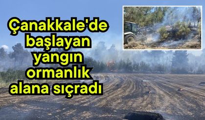 Çanakkale'de başlayan yangın ormanlık alana sıçradı (Video)