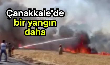 Çanakkale'de bir yangın daha (Video)