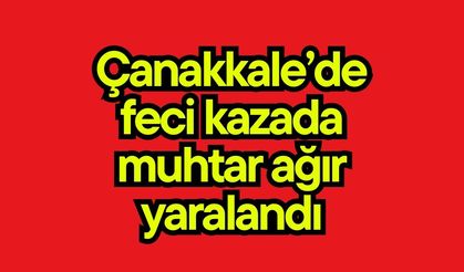 Çanakkale’de feci kazada muhtar ağır yaralandı