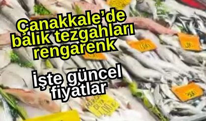 Çanakkale’de balık tezgahları rengarenk: İşte güncel fiyatlar