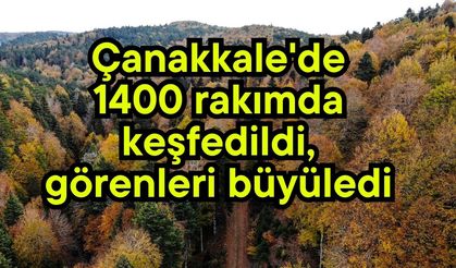 Çanakkale'de 1400 rakımda keşfedildi, görenleri büyüledi