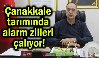 Çanakkale tarımında alarm zilleri çalıyor!
