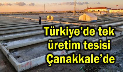 Türkiye’de tek üretim tesisi Çanakkale’de