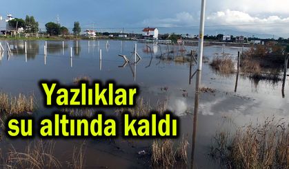 Yazlıklar su altında kaldı (Video)