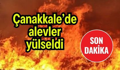 Çanakkale’de alevler yülseldi