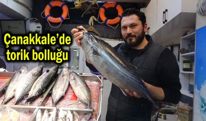 Çanakkale'de torik bolluğu (Video)