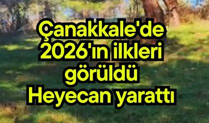 Çanakkale'de 2026'ın ilkleri görüldü