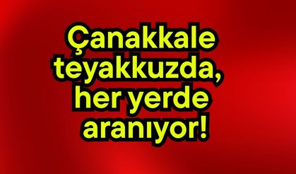 Çanakkale teyakkuzda, her yerde aranıyor!