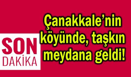 Çanakkale’nin köyünde taşkın meydana geldi!