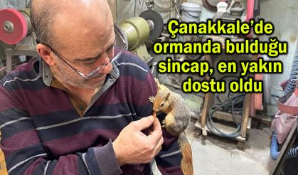 Çanakkale’de sincap, en yakın dostu oldu (Video)
