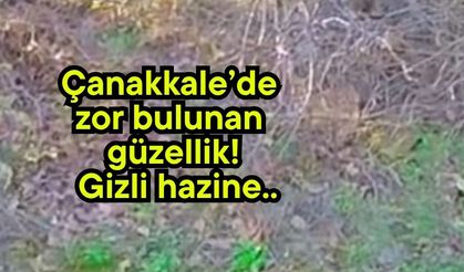 Çanakkale’de zor bulunan güzellik! Gizli hazine..