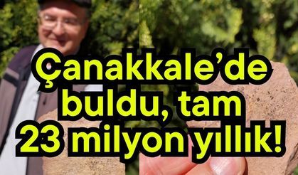 Çanakkale’de buldu, tam 23 milyon yıllık!