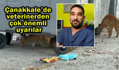 Çanakkale’de veterinerden çok önemli uyarılar (Video)