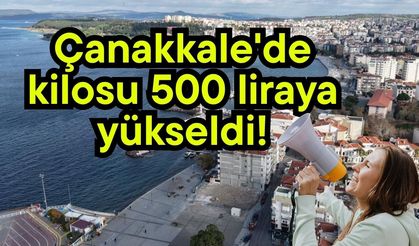 Çanakkale'de kilosu 500 liraya yükseldi!