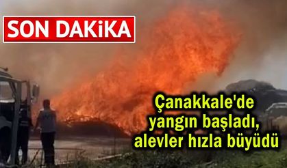 Çanakkale'de yangın başladı, alevler hızla büyüdü