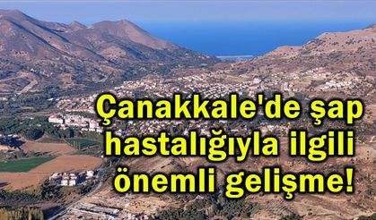 Çanakkale'de şap hastalığıyla ilgili önemli gelişme!