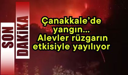 Çanakkale’de yangın… Alevler rüzgarın etkisiyle yayılıyor