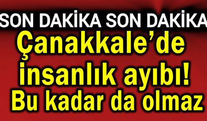 Çanakkale’de insanlık ayıbı! Bu kadar da olmaz