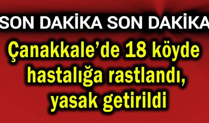 Çanakkale’de 18 köy hastalığa rastlandı, yasak getirildi
