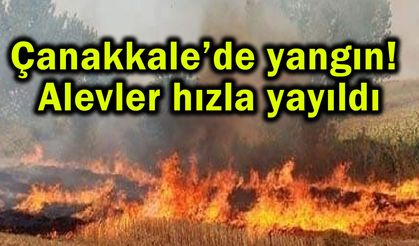 Çanakkale’de yangın! Alevler hızla yayıldı (Video)