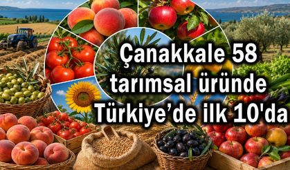 Çanakkale 58 tarımsal üründe Türkiye’de ilk 10'da