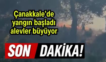 Çanakkale'de yangın başladı! Alevler büyüyor