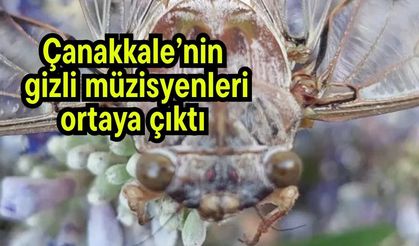 Çanakkale’nin gizli müzisyenleri ortaya çıktı
