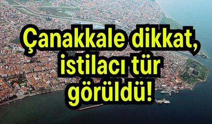 Çanakkale dikkat, istilacı tür görüldü!